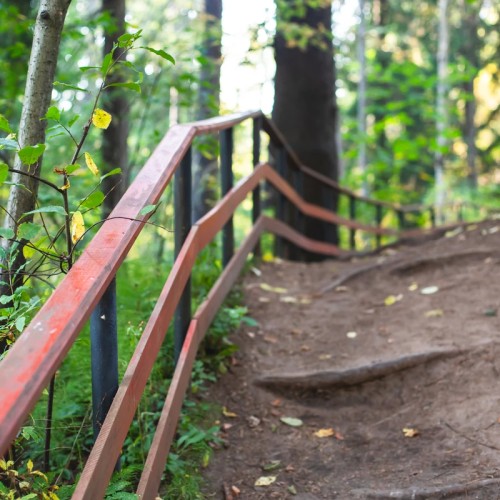 Большая прогулка по Комарово