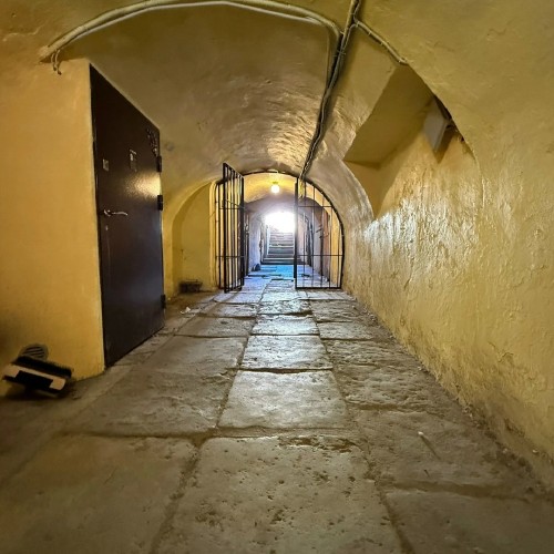 По Васильевскому с островитянином!