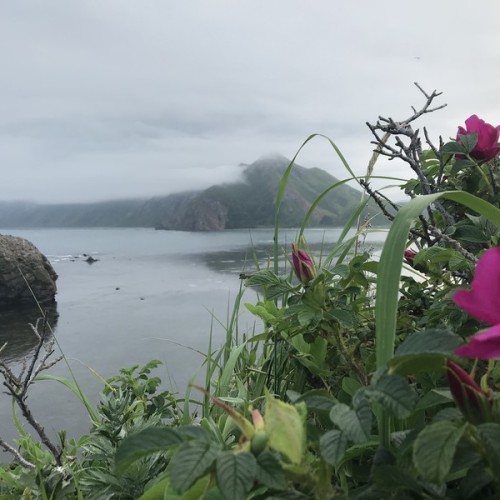 Сахалин с историей: автопутешествие-детокс с ночёвками в палатках на природе (индивидуально)