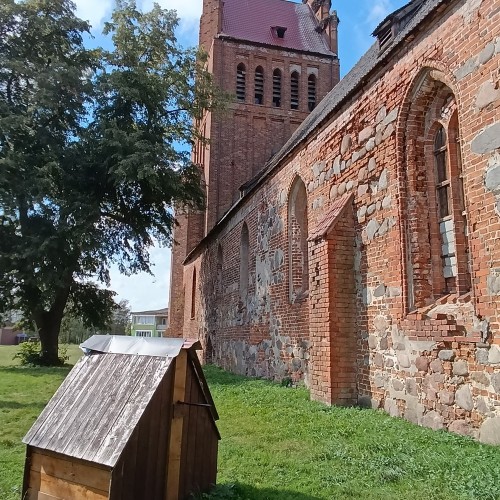 В поисках приключений: на медовых лугах Бартии