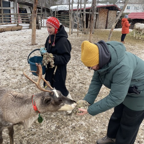 Своей компанией на Русский Север: Мурманск, Териберка, Кировск и саамы