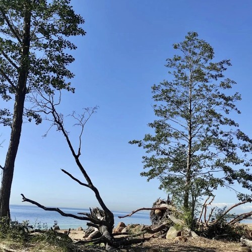 Сестрорецк — русская Финляндия