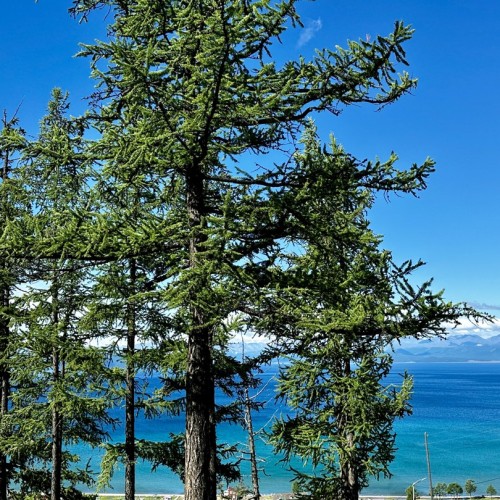 В Монголию в гости к «младшему брату Байкала» из Иркутска: окрестности Хубсугула