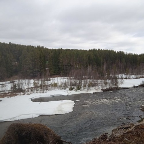 За Полярный круг: в гости к саамам, охота за сиянием и экскурсии по Мурманску и Териберке