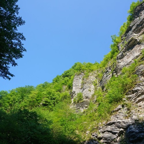 Лёгкий треккинг в субтропиках с проживанием в гостинице в Адлере