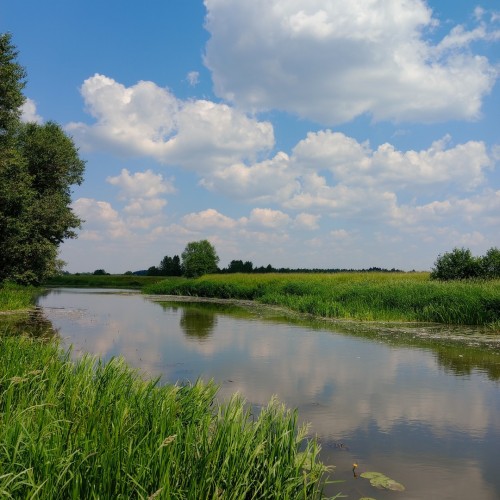 Выходные-перезагрузка на реке Шерне: сплав на байдарках (всё включено)