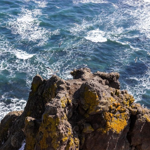 Джип-приключение на Камчатке: главные места, озеро медведей и треккинги