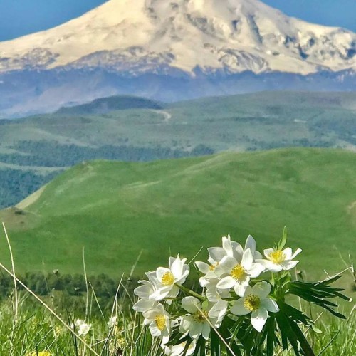 К седому великану Эльбрусу: тур выходного дня из Владикавказа