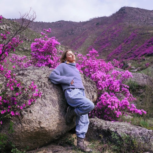 Когда Алтай оживает: цветение маральника, озёра и перевалы Чуйского тракта (мини-группа)