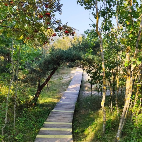 Первый раз в Калининград: истории знаковых мест и редко посещаемых локаций