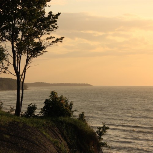 Замки, море и хомлины — лучшие места Калининградской области и дегустация на семейной сыроварне