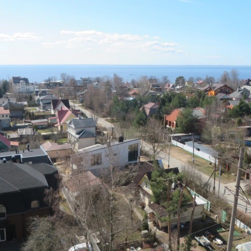 Мобильный квест «Лисий Нос и тайна графа Орлова»