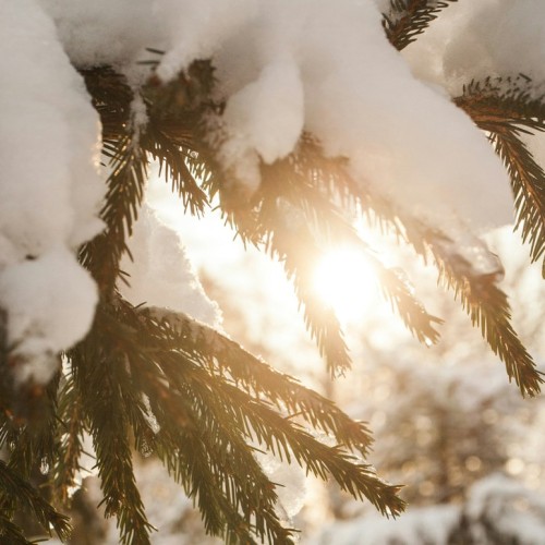 Чудеса снежной Карелии: Кижи, «Рускеала», вотчина Талви Укко и Марциальные Воды