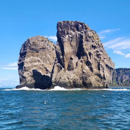 Крабовое сафари на Камчатке