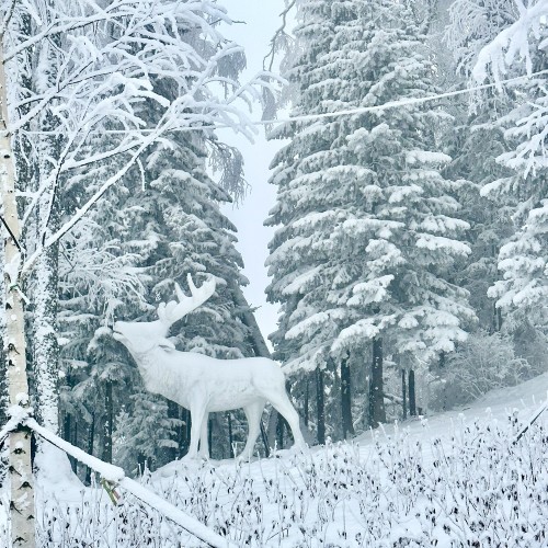 Телецкое озеро: водопады, гроты и заповедная тайга