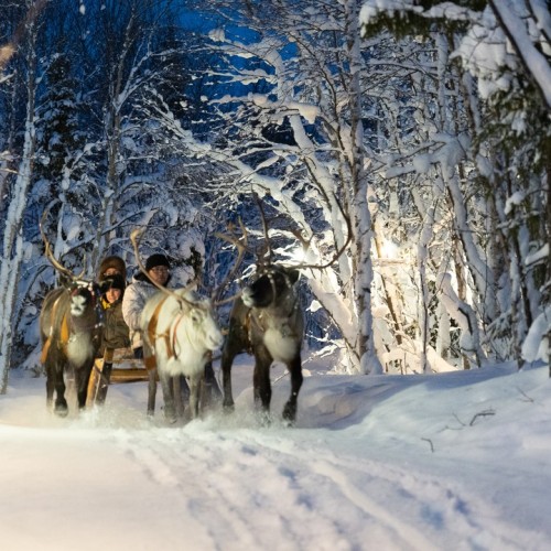 Главные локации и гастровпечатления Заполярья: тур в мини-группе по Мурманску и Териберке