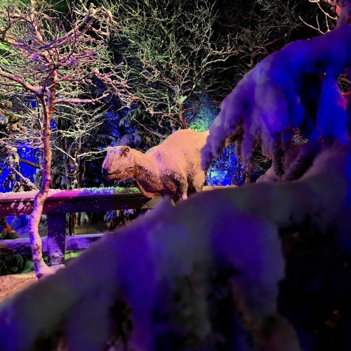 Индивидуальный джип-выезд по Кольскому с поисками китов, знакомством с саамами и катанием на оленях