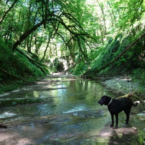 В гости к друиду: выходные в горной долине Шахе (мини-группа)