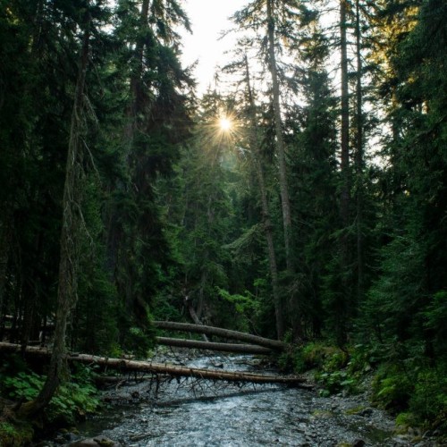 От Псебая до Красной Поляны: поход по горам с выходом к морю