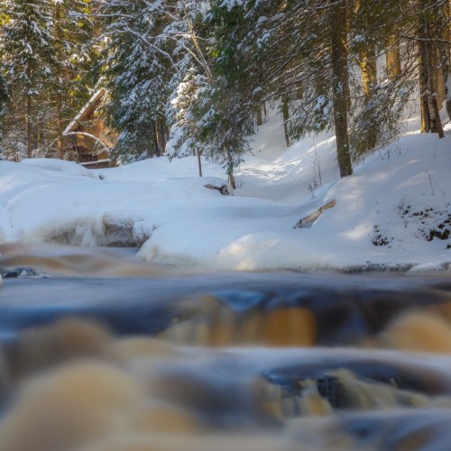 Там, где властвует природа: индивидуально в Карелию с гидом-фотографом