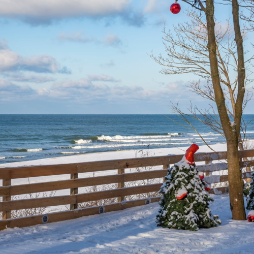 Гранд-тур по Калининграду и области с выбором экскурсий