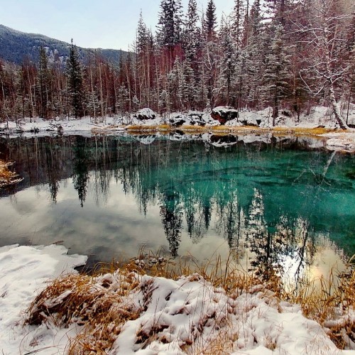 Зов диких троп: Алтай на джипах, квадроциклах и лошадях в мини-группе (всё включено)