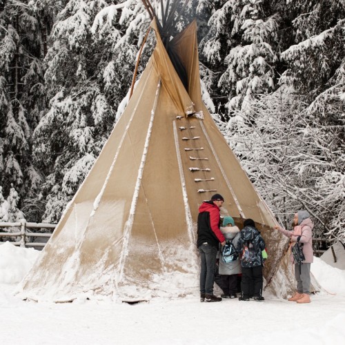 Прогулка на лошадях и визит к северным оленям