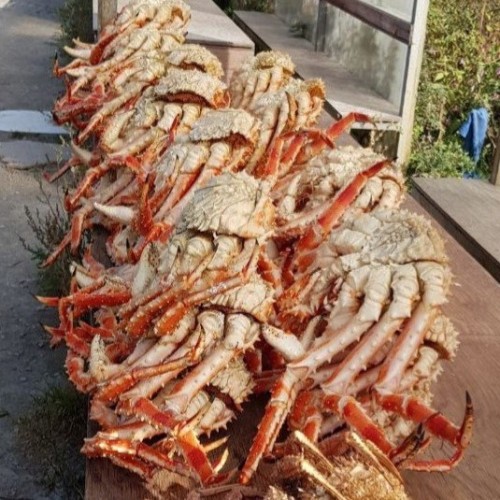 Знакомство с Сахалином в мини-группе: Тихая бухта, мыс Великан и побережье Охотского моря