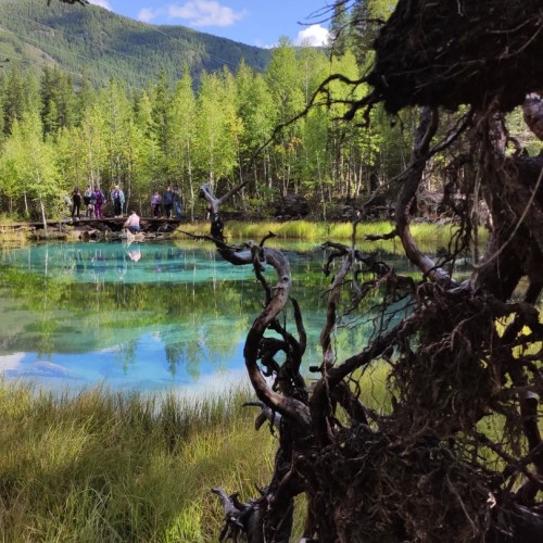 Перезагрузка на Алтае: топ локаций, заповедное озеро и моторафтинг по Катуни