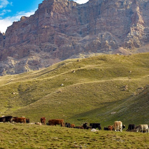 Выше облаков на 3760 метров на гору Шалбуздаг: треккинг налегке с проживанием в гостинице