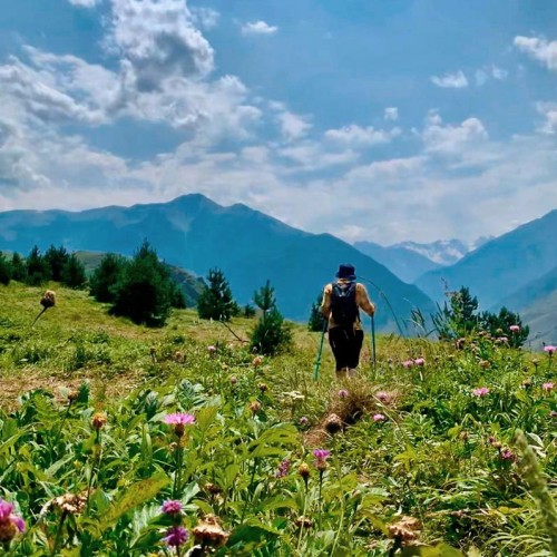 Семейный треккинг в Дигории с размещением в гостинице