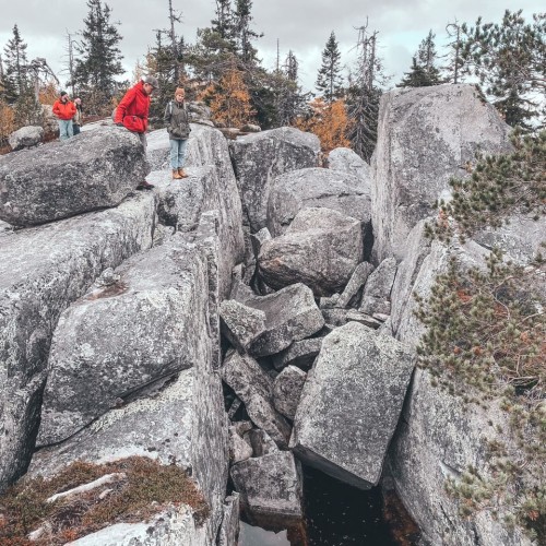 Детокс в Карелии: место силы, дары леса и походная романтика (всё включено)