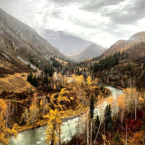 Шёлковый путь Алтая — из Горно-Алтайска