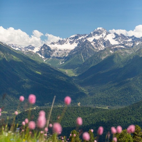 Всё лучшее на Кавказе — для вас: топ-локации, кухня, отдых на источниках, конная прогулка, рыбалка