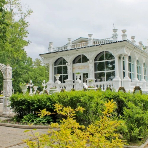 «Зелёный» Хабаровск