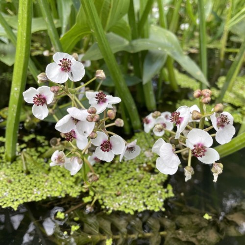 Выходные-перезагрузка на реке Шерне: сплав на байдарках (всё включено)