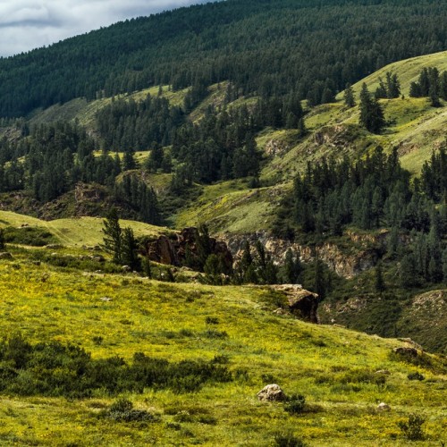 Алтайский отпуск: Телецкое озеро, живописные долины и другие знаковые места
