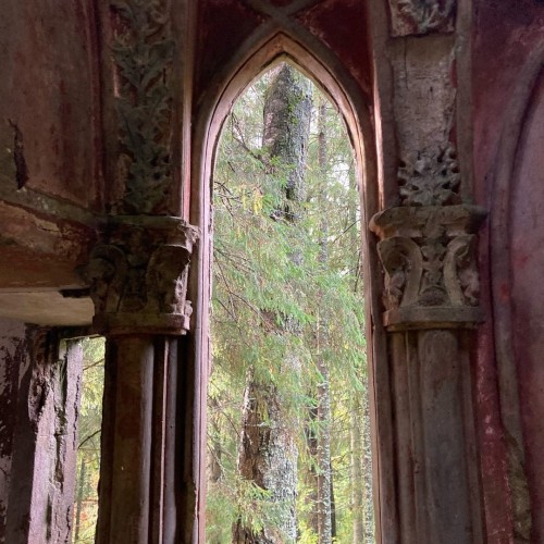 Старинные усадьбы, уютные города и природа: тур по живописным уголкам Новгородской области