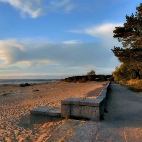 Уютный дачный Сестрорецк