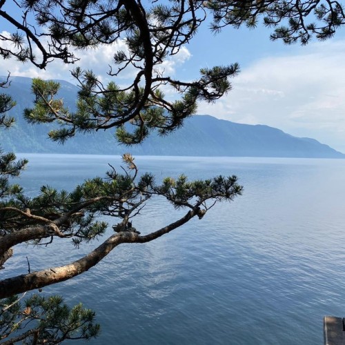 Большое путешествие: Алтай сакральный, этнический и исторический