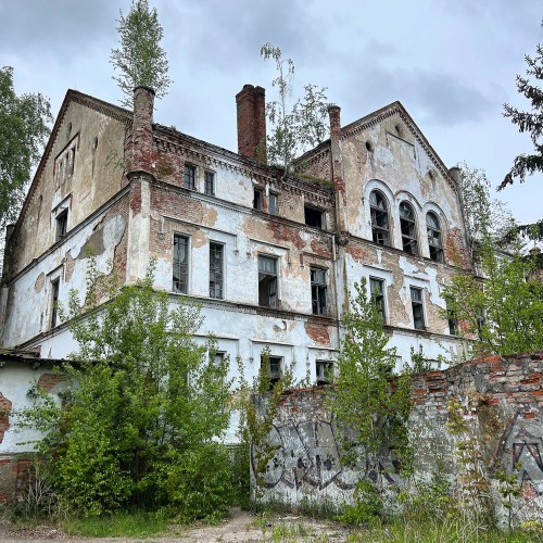 Насыщенный трип по Калининграду: дегустации, необычные маршруты, органный концерт и рыцарский турнир