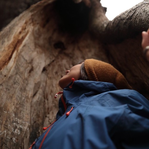 По тропам Торжокского района: пеший поход с рюкзаками
