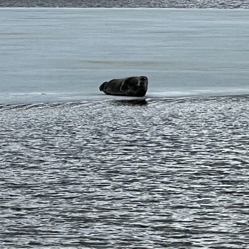 Индивидуальный джип-выезд по Терскому берегу в формате «всё включено»