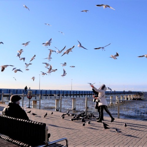 Комфорт-тур в Калининград в мини-группе с проживанием в глэмпинге: экскурсии и дегустация