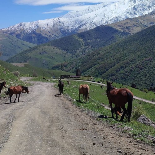 По горным тропам и улицам Владикавказа с комфортом: 3 дня в Северной Осетии