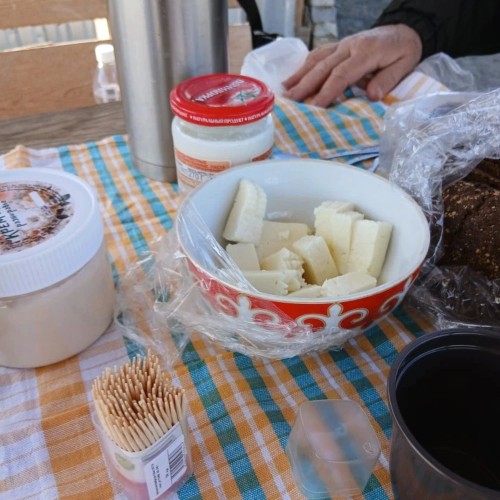 Алтай в цвету: маральник и Чуйский тракт — из Горно-Алтайска