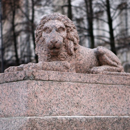 Львы Петербурга: новые приключения итальянцев в России