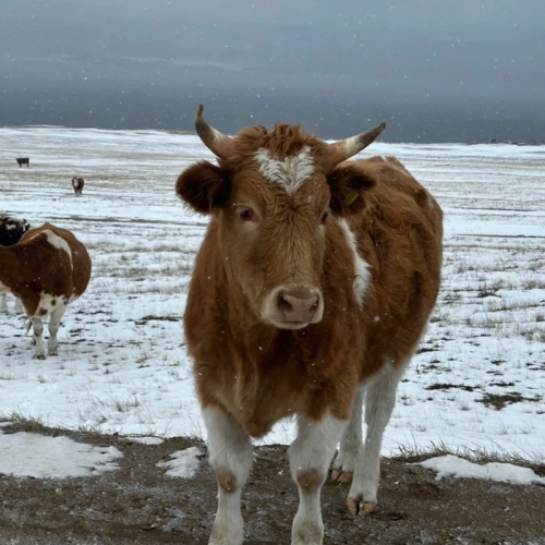 Природные достопримечательности и священные места Байкала в мини-группе