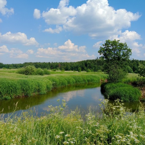 Выходные-перезагрузка на реке Шерне: сплав на байдарках (всё включено)