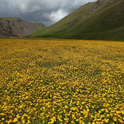 Топовые места Кавказа: закат на Бермамыте, фантастические виды Джилы-Су и Чегемское ущелье